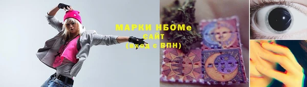 сатива Алзамай