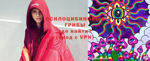 гидра Алексин