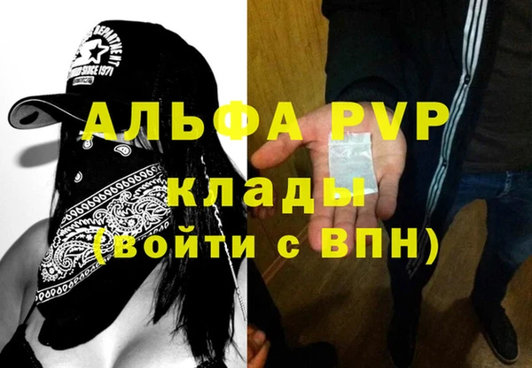 гидра Алексин