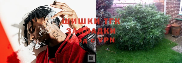 сатива Алзамай