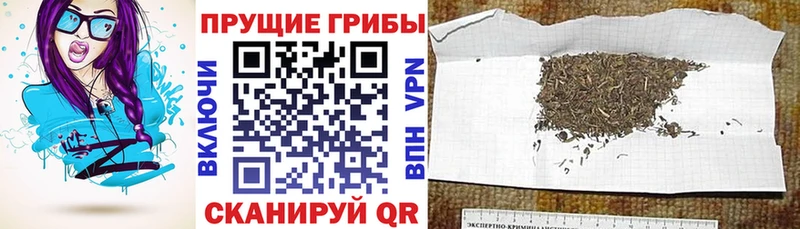 Галлюциногенные грибы прущие грибы  Киров 